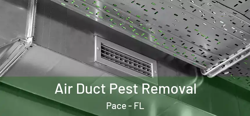  Air Duct Pest Removal Pace - FL