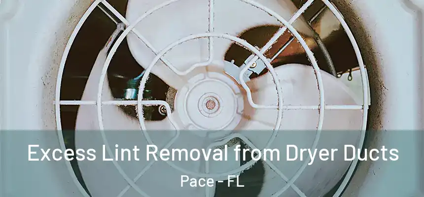  Excess Lint Removal from Dryer Ducts Pace - FL