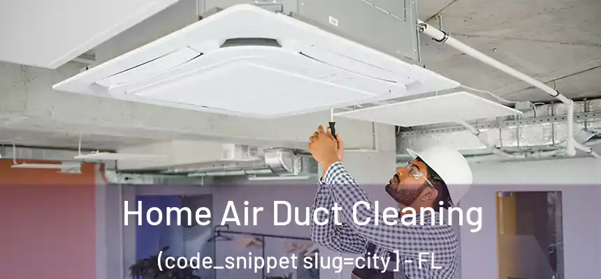  Home Air Duct Cleaning (code_snippet slug=city] - FL