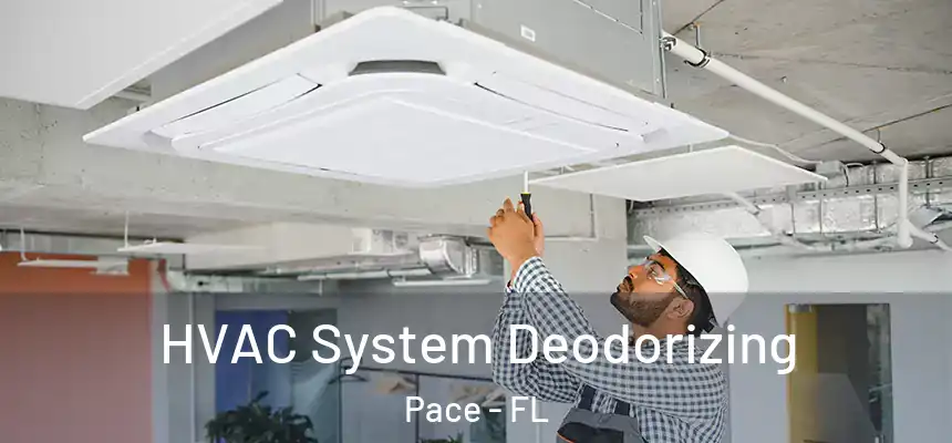  HVAC System Deodorizing Pace - FL