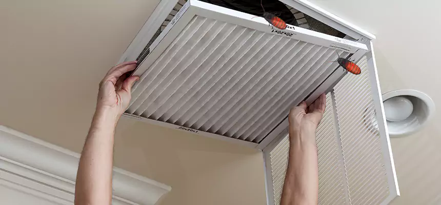 Preventive Cockroach-Proofing for Ducts in Pace