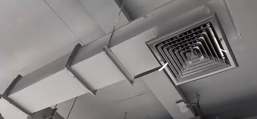 Our Pest Removal From Ducts Services in Pace, FL