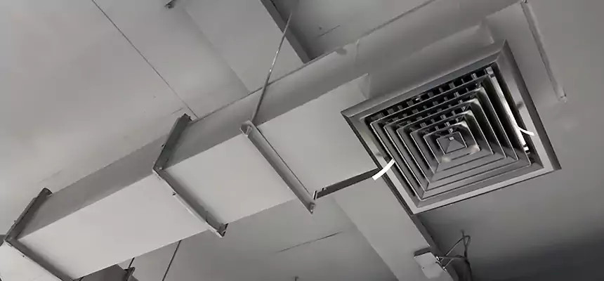 Our Rodent Droppings In Vents Services in Pace, FL