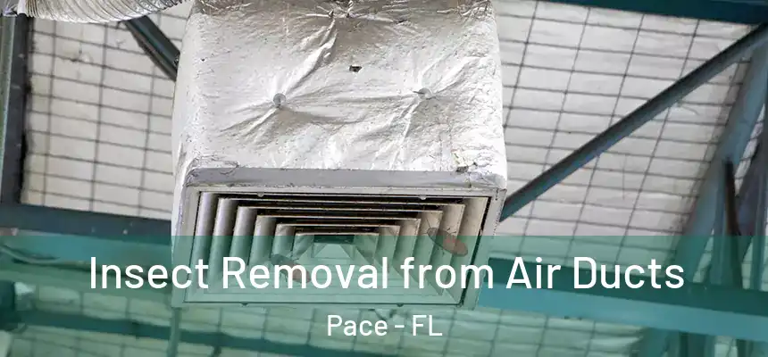 Insect Removal from Air Ducts Pace - FL