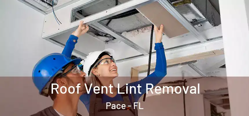  Roof Vent Lint Removal Pace - FL