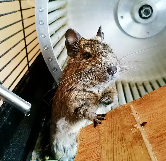 Why Homeowners & Businesses Trust Us Pace, FL