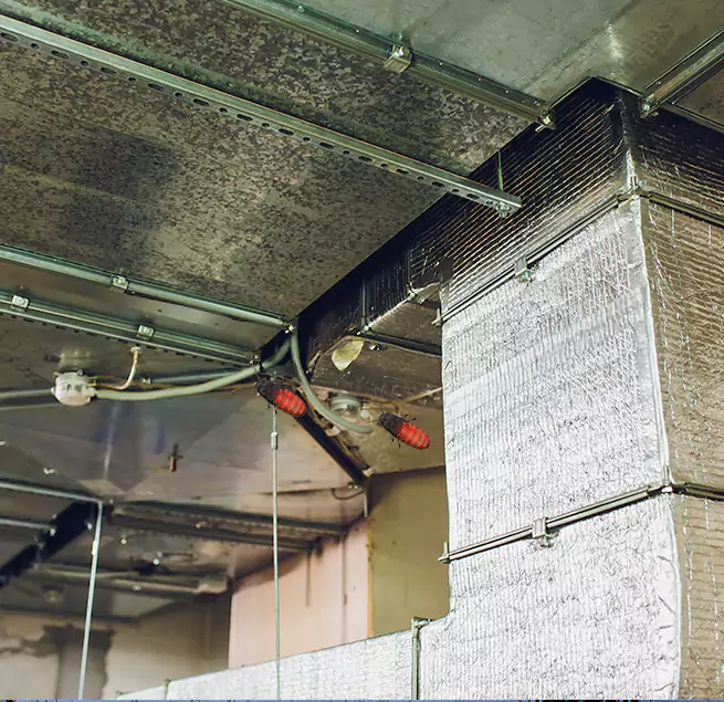 Why Homeowners & Businesses Trust Us Pace, FL?