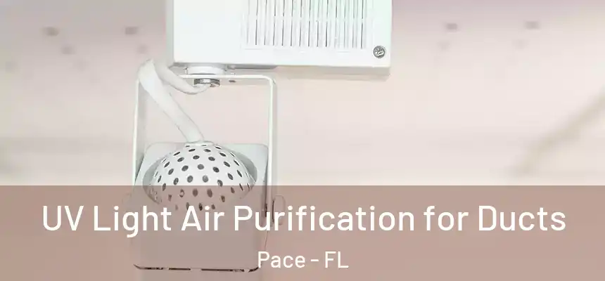 UV Light Air Purification for Ducts Pace - FL